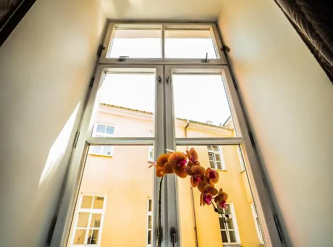 Pod Baszta Hostel Lublin